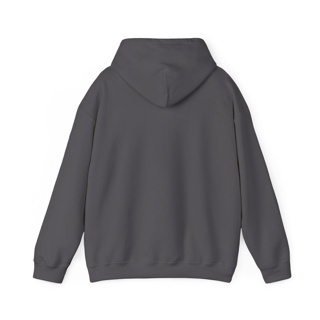 Velligion Unisex Heavy Blend™ Hooded Sweatshirt